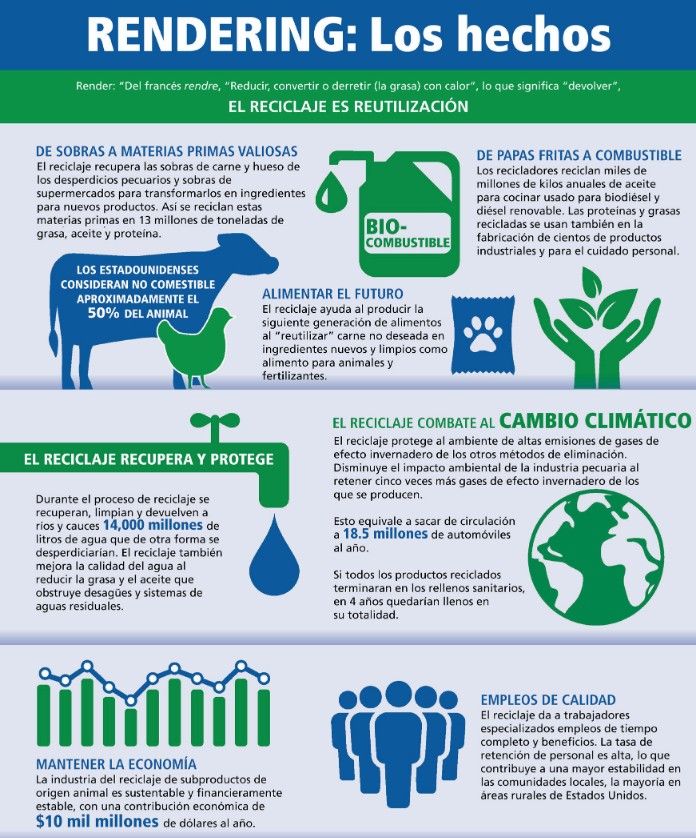 ♻️ DEL RENDERING AL MUNDO FARMA Y ALIMENTACION: cuando un residuo deja de ser un problema y se convierte en valor industrial.