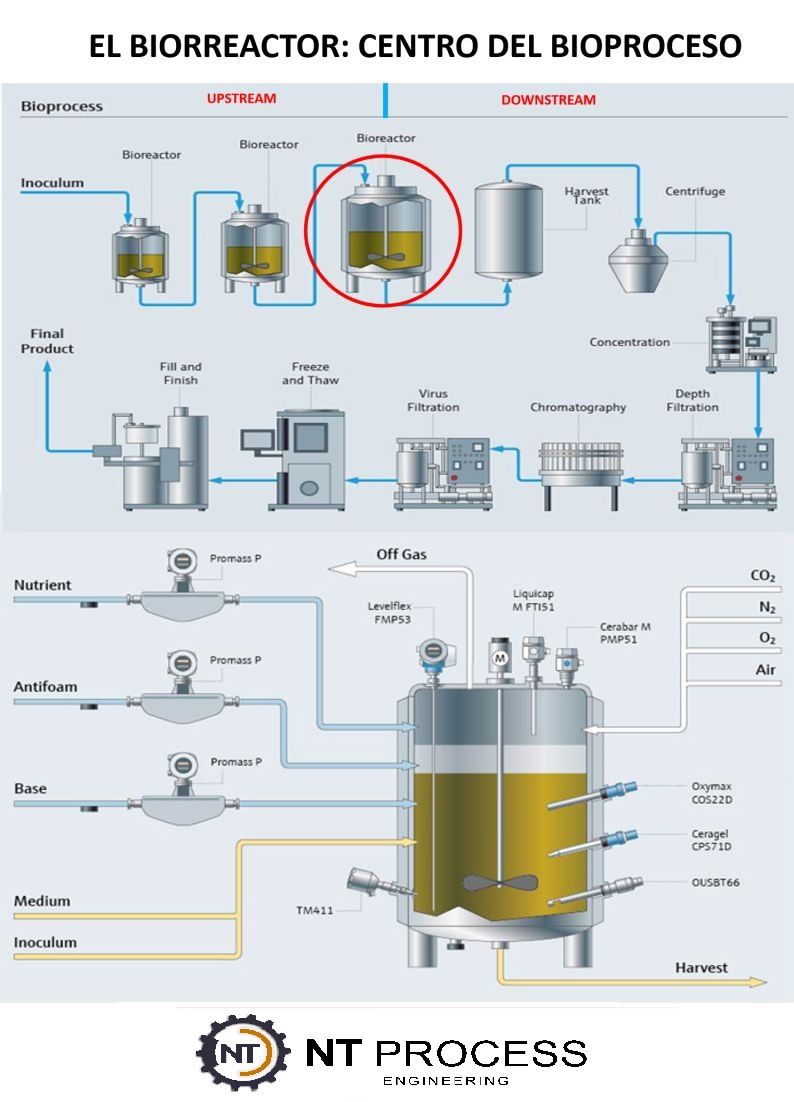 El biorreactor no es un equipo más. Es el core del bioproceso.